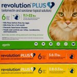 Can_you_put_dog_revolution_on_cats