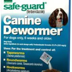 Canine_dewormer_for_puppies_effective_solution