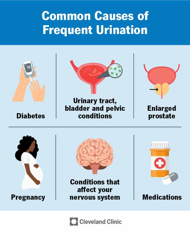 Causes of Frequent Urination in Males_ Understanding the Factors