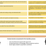 Childhood_onset_pervasive_developmental_disorder_understanding_and_optimizing_seo_title