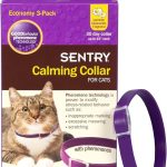 Constant_meowing_of_bengal_cats_a_furry_friend_s_behavior