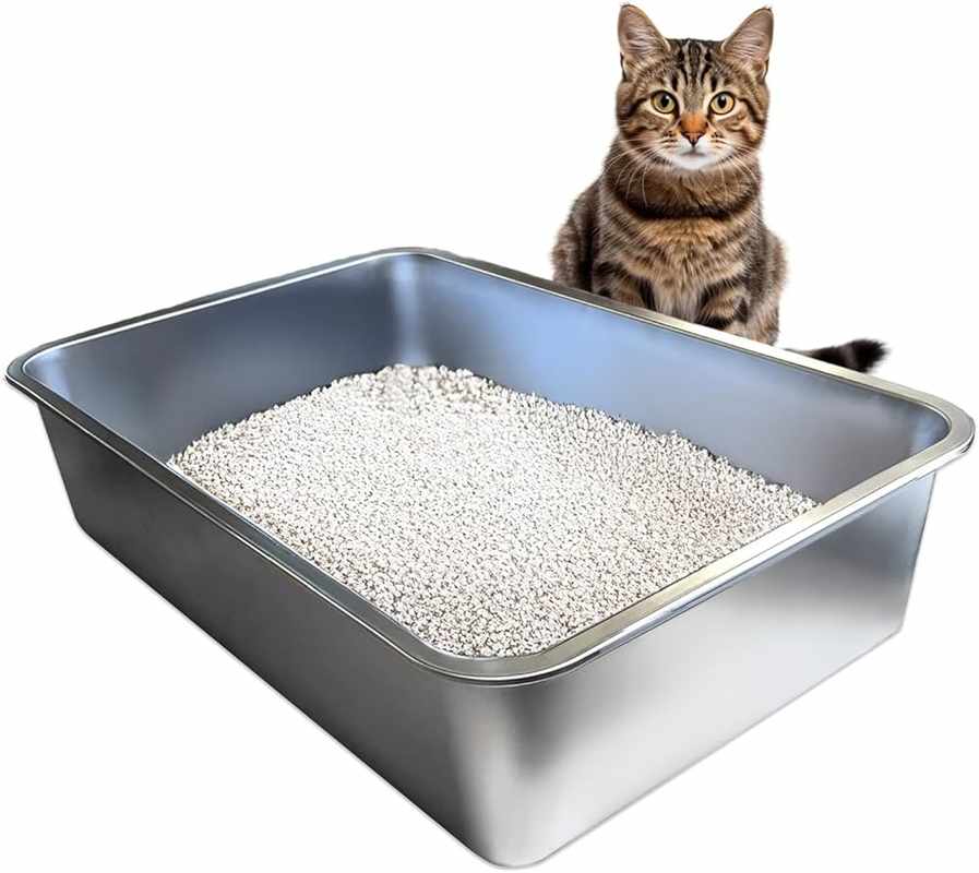 Extreme Odor_ Bloody Poop Cat - The Ultimate Feline Stink Experience
