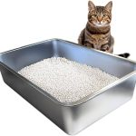 Extreme_odor_bloody_poop_cat_-_the_ultimate_feline_stink_experience