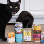 High_protein_high_fat_cat_food_with_low_carbohydrate_content