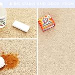 How to Remove Dog Urine Stains from Carpet with Baking Soda_1