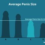 Is a inch Penis Normal_1