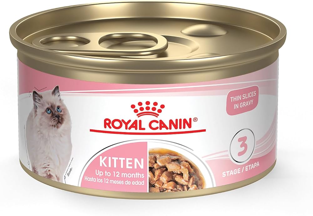 8 Month Old Ate Cat Food_ Shocking Story