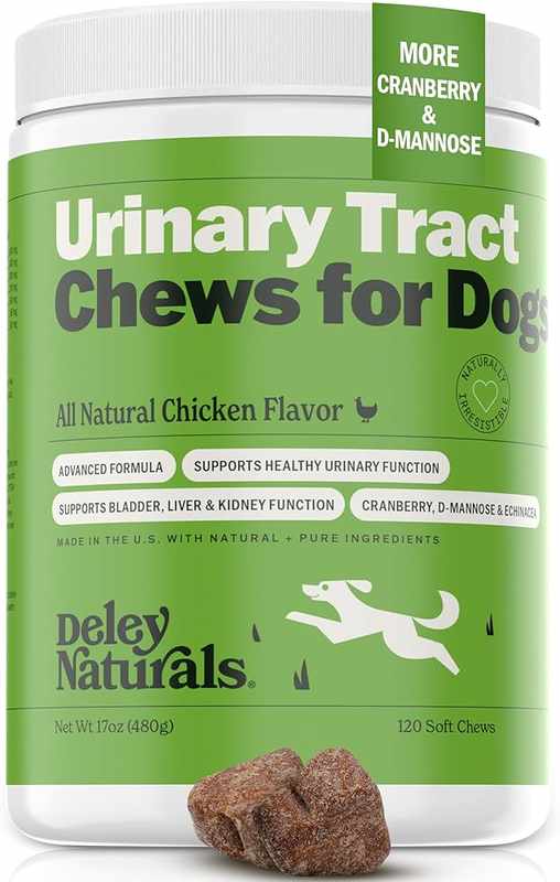 Preventing UTI with the Best Dog Food