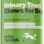 Preventing_uti_with_the_best_dog_food