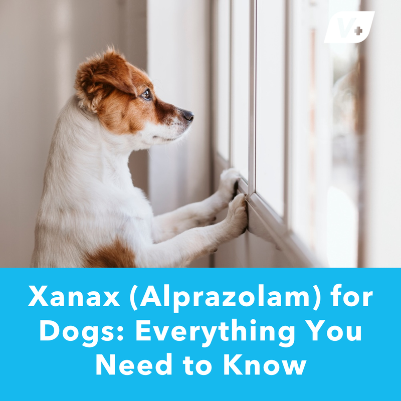 Side Effects of Alprazolam _Xanax__ What You Need to Know