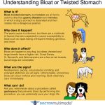Symptoms_of_bloat_dogs