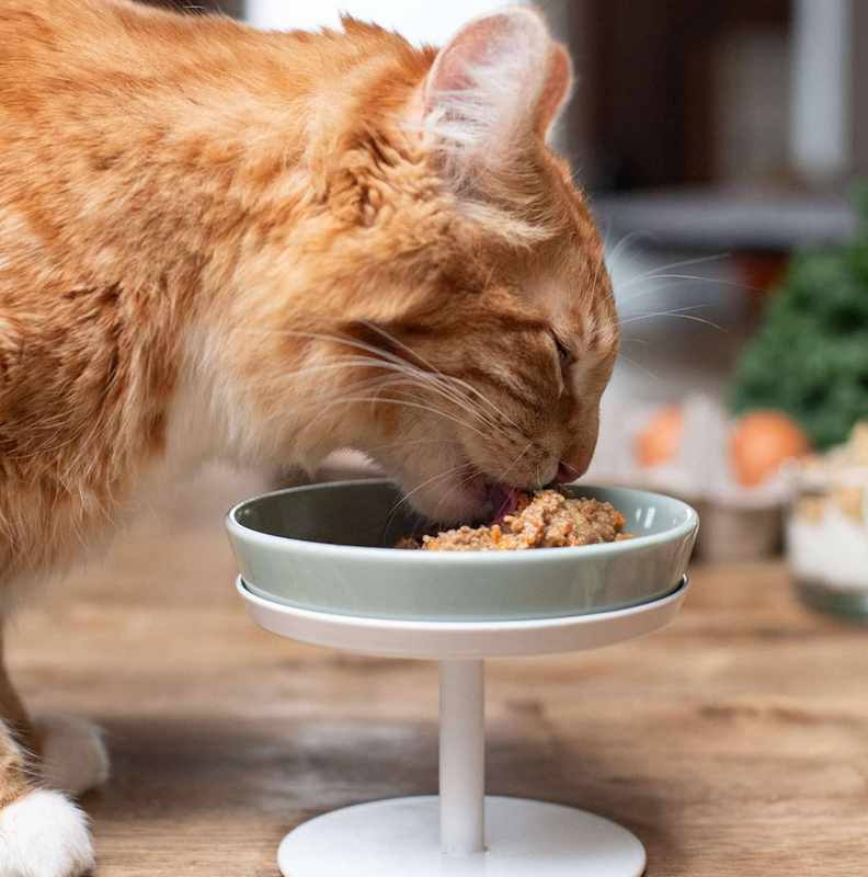 The Best Cat Food For Frequent Vomiting