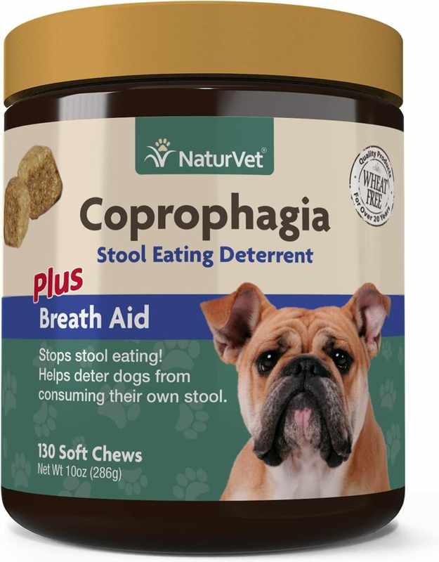 The Best Coprophagia Deterrent for Dogs