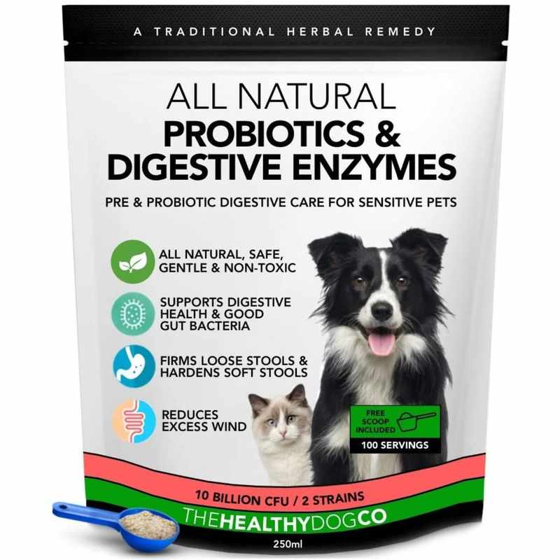 The Best Digestive Enzymes for Dogs with Acid Reflux