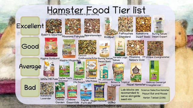 The Best Hamster Foods