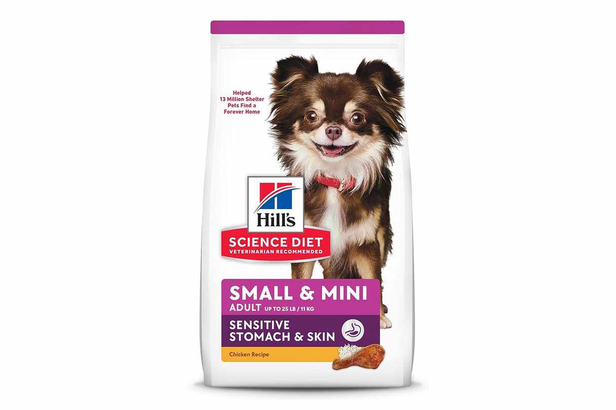 The Best Low Calorie Dog Food for Small Breeds