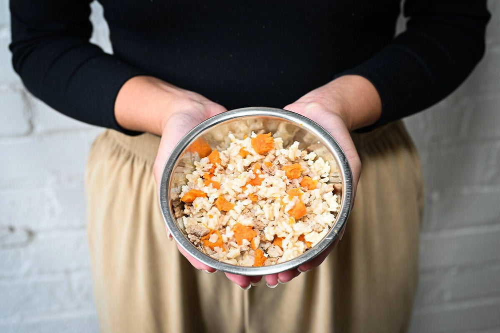 The Ultimate Bland Diet For Puppies With Diarrhea