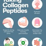 The_benefit_of_collagen_peptides