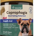 The_best_coprophagia_deterrent_for_dogs