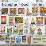 The_best_hamster_foods