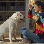The_top_10_best_dog_training_books
