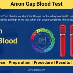 Understanding Anion Gap in Blood Test Results_1