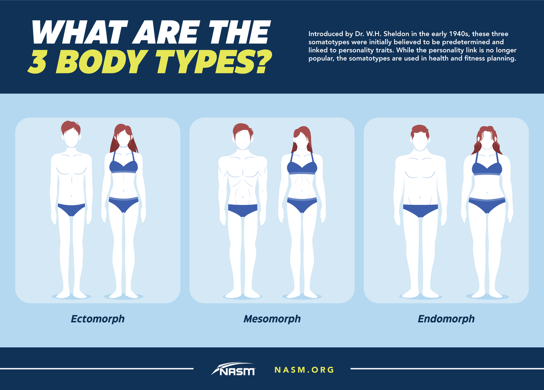 Understanding Body Types_ Ectomorph_ Mesomorph_ Endomorph in Female