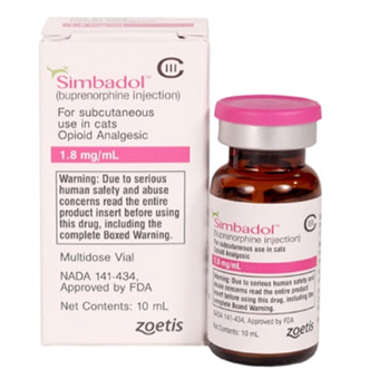Understanding Buprenorphine Effects_ Dilated Pupils in Cats