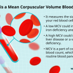 Understanding_blood_test_high_mcv_what_it_means