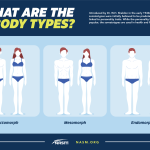 Understanding_body_types_ectomorph_mesomorph_endomorph_in_female