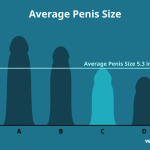 Understanding_your_6_inch_penis_with_a_5_inch_girth_what_to_know