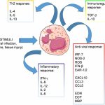 What Are Absolute Eosinophils High Levels ml Blood Test_1