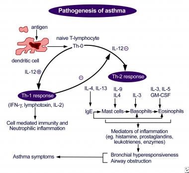1_ asthma is an example of atopy_ what are other types of atopy_ quizlet